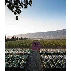 Acheter ⭐ Mas Amiel Carerades, 2012 - Côtes-du-Roussillon-Villages AOP - Rouge - 75 cl 🎉 -Boissons Soldes 2024 3281540014116 3