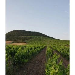 Acheter ⭐ Mas Amiel Carerades, 2012 - Côtes-du-Roussillon-Villages AOP - Rouge - 75 cl 🎉 -Boissons Soldes 2024 3281540014116 5