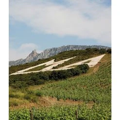 Acheter ⭐ Mas Amiel Carerades, 2012 - Côtes-du-Roussillon-Villages AOP - Rouge - 75 cl 🎉 -Boissons Soldes 2024 3281540014116 6