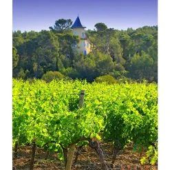 Bon marché 👍 Mouline de Ciffre Altiniac Grande Cuvée, 2018 - Faugères AOP - Rouge - 75 cl 👍 -Boissons Soldes 2024 3454781519652 3