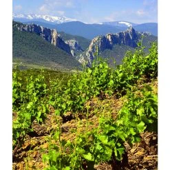 Bon marché 👍 Mouline de Ciffre Altiniac Grande Cuvée, 2018 - Faugères AOP - Rouge - 75 cl 👍 -Boissons Soldes 2024 3454781519652 5