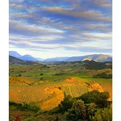 Bon marché 👍 Mouline de Ciffre Altiniac Grande Cuvée, 2018 - Faugères AOP - Rouge - 75 cl 👍 -Boissons Soldes 2024 3454781519652 6