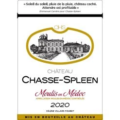 Remise 😉 Château Chasse-Spleen, 2020 - Moulis ou Moulis-en-Médoc AOP - Rouge - 75 cl 🌟 -Boissons Soldes 2024 3700218206672 3