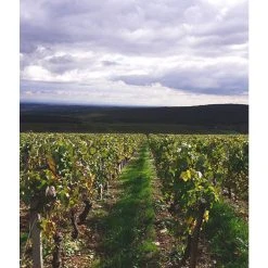 De gros 🤩 Baronne de Saint-Jean, 2021 - Mâcon-Azé AOP - Rouge - 75 cl 🤩 -Boissons Soldes 2024 3700271980199 2