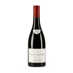 Vente flash 🥰 Rémi Seguin, 2020 - Côte de Nuits Villages AOP - Rouge - 75 cl 🥰