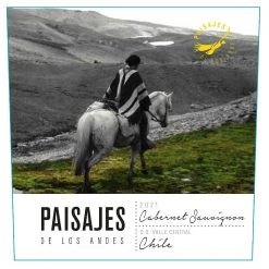 Meilleur prix 🎁 Paisajes de los Andes, 2021 - Valle Central DO, CHILI - Rouge - 75 cl ✨ -Boissons Soldes 2024 7804655290013 3